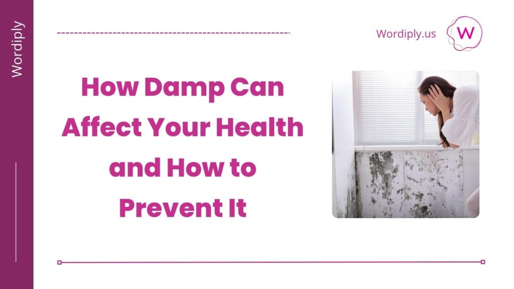 How Damp Can Affect Your Health and How to Prevent It