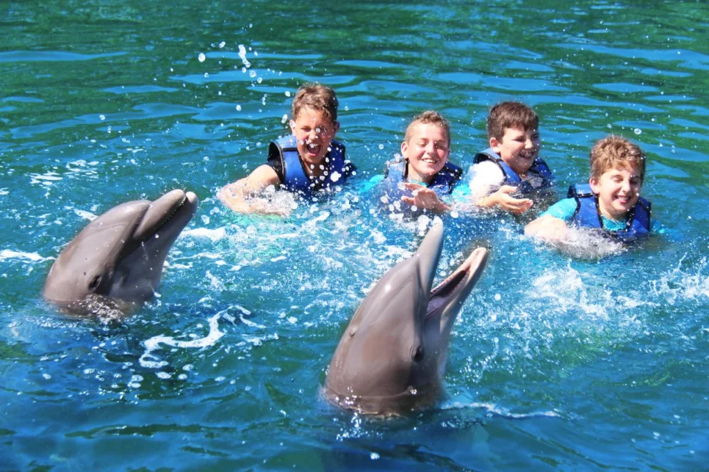 Boys_Swimming_With_Dolphins Boys Swimming With Dolphins Dive into a World of Wonder: Unforgettable Marine Experiences with Dolphin Discovery